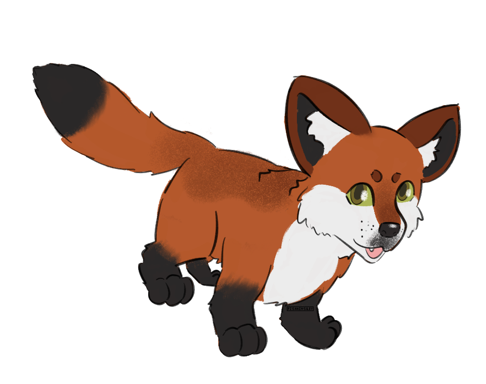 a red fox, who due to her dwarfism has large ears, large paws, and short legs.