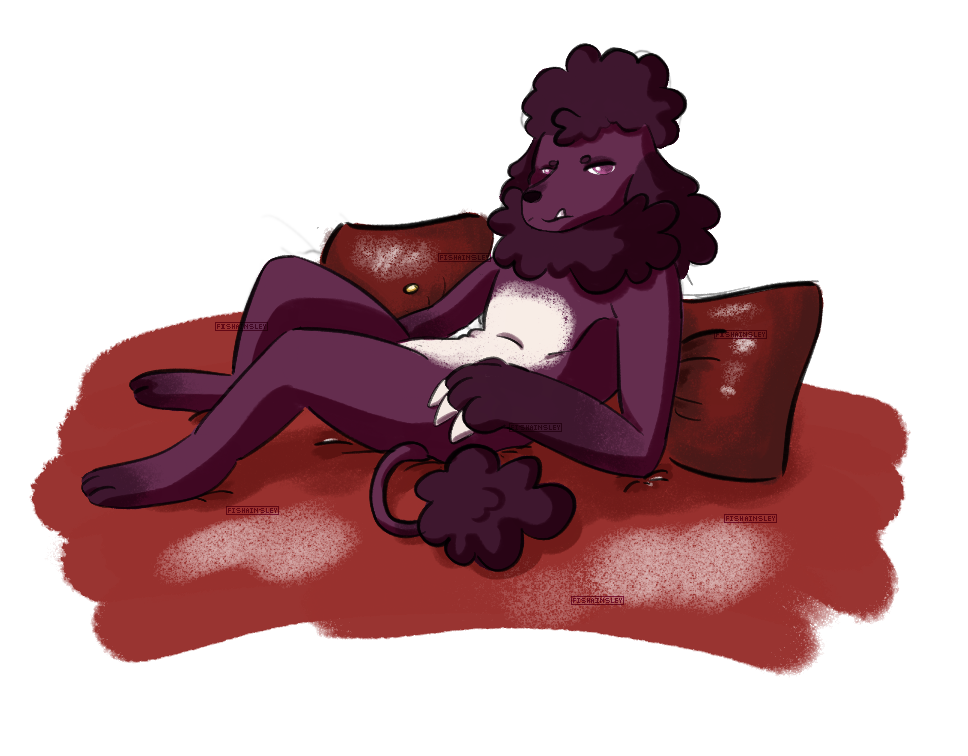 a dark poodle resting on a red bed and pillows