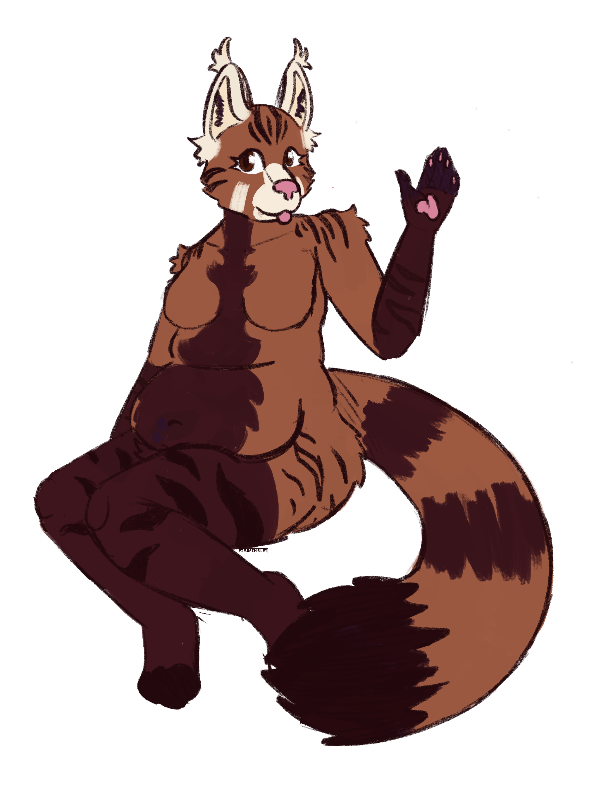 red panda/maine coon