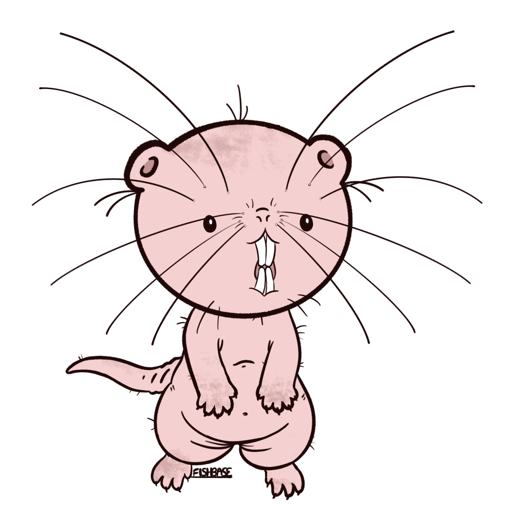 A chibi naked mole rat